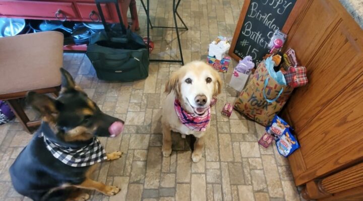 MissyMasterson | FOX 28 Spokane