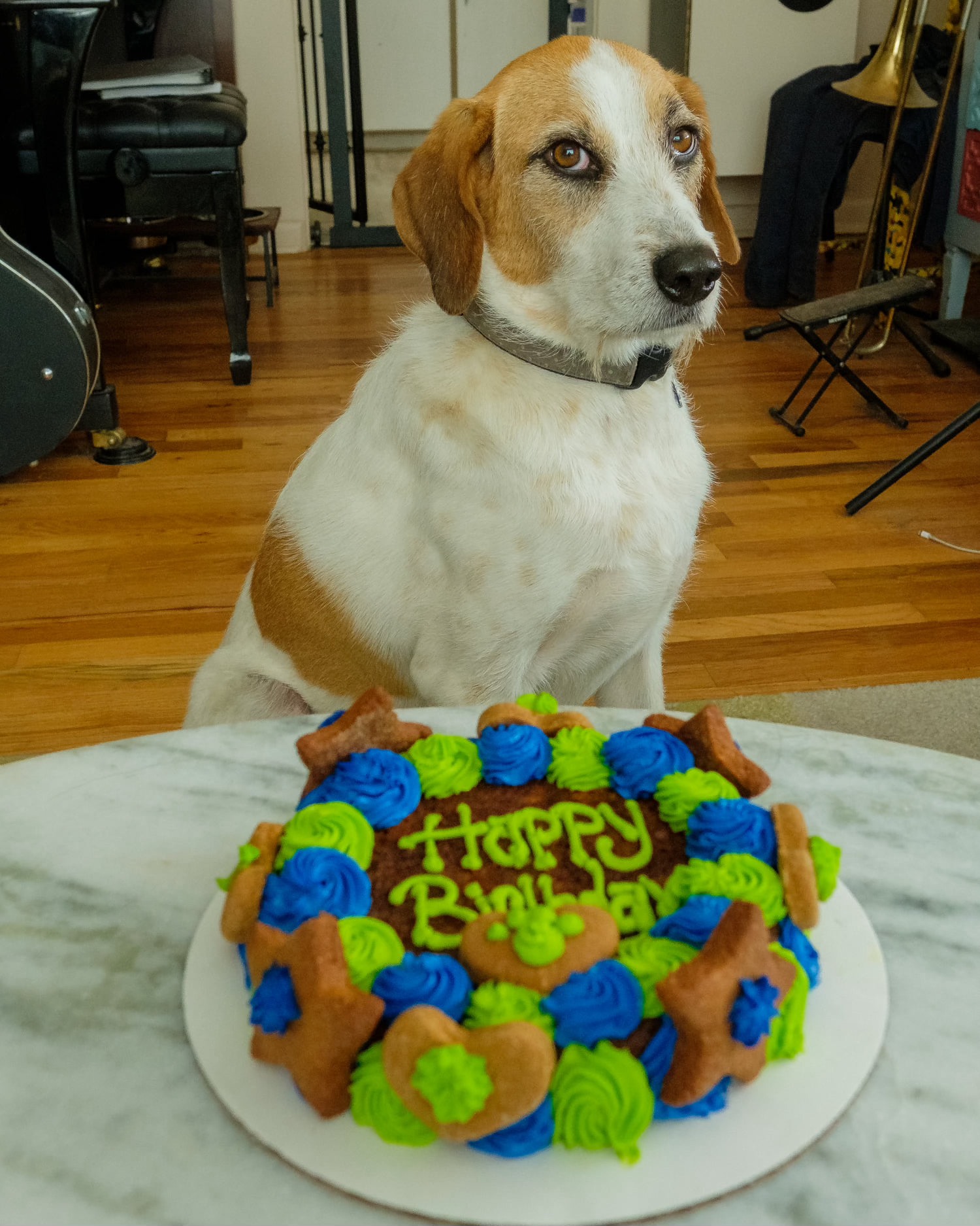 StevenCogswell | FOX 28 Spokane