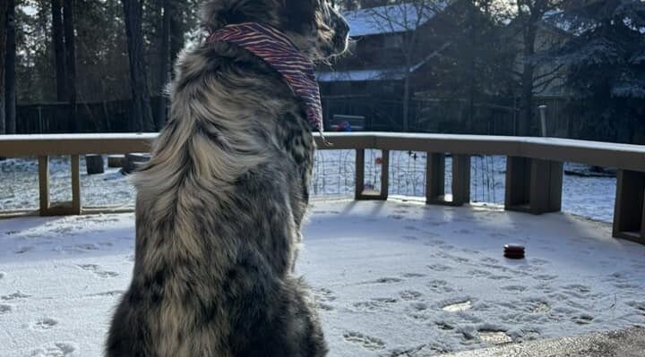 AliBlakney | FOX 28 Spokane