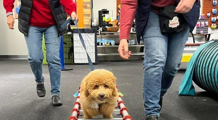 SarahRichardson | FOX 28 Spokane