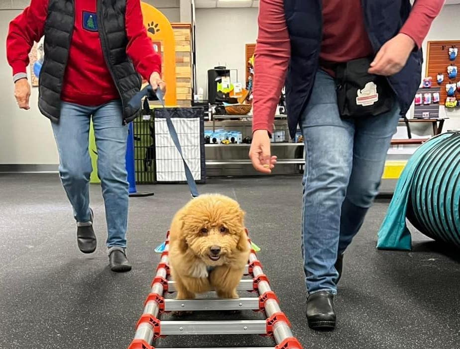 SarahRichardson | FOX 28 Spokane