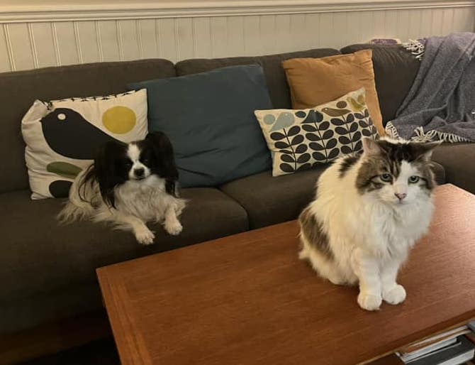 AlishaArdiana | FOX 28 Spokane