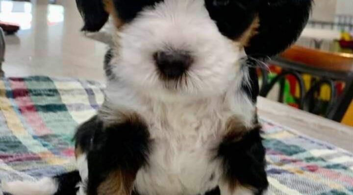 PhotoCourtesyOfShellyKeel | FOX 28 Spokane