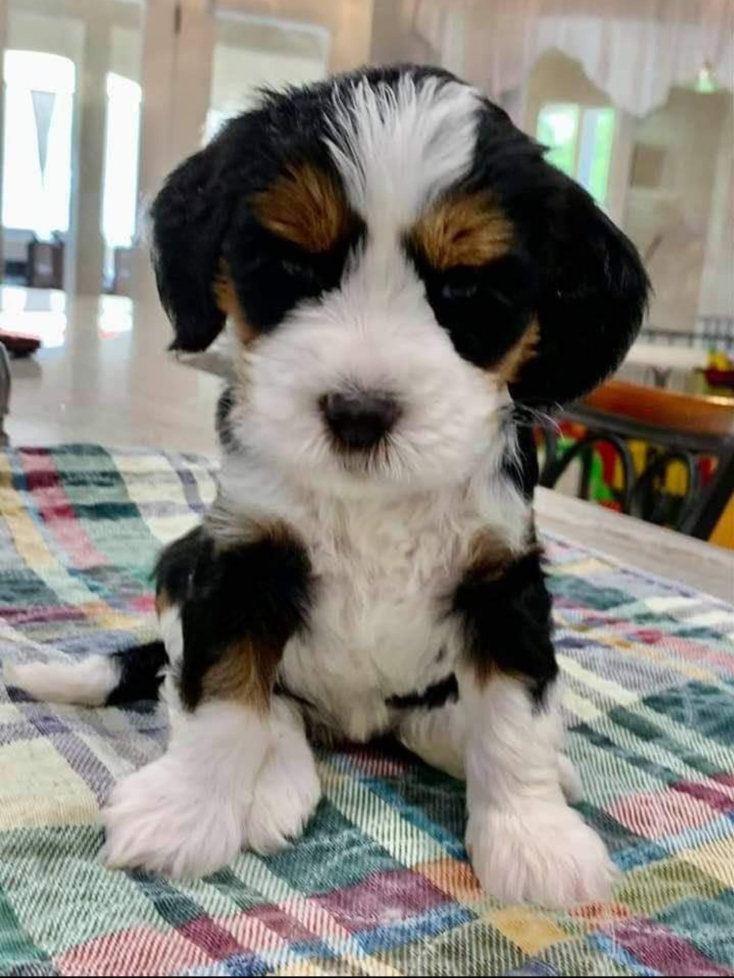 PhotoCourtesyOfShellyKeel | FOX 28 Spokane