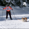 Spokane Nordic Ski Association hosts Barkbeiner skijoring races