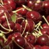 Washington’s cherry growers now eligible for federal emergency assistance