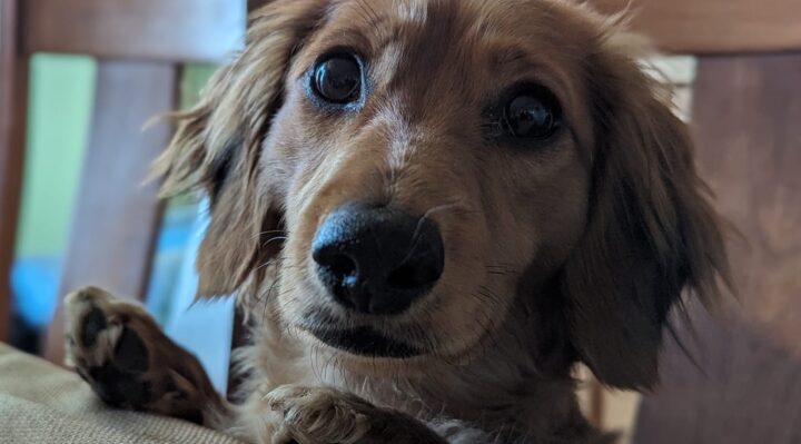 ErinSaywell | FOX 28 Spokane