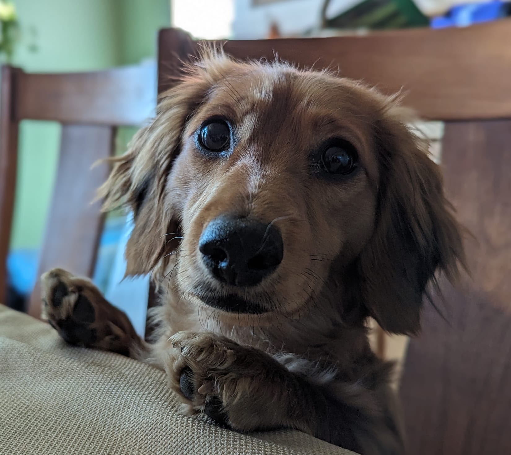 ErinSaywell | FOX 28 Spokane