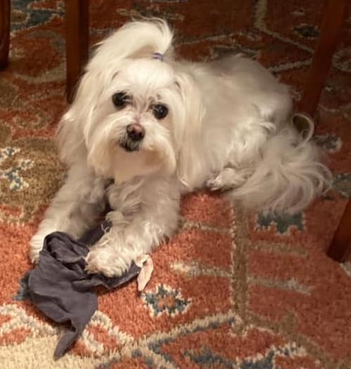 JaxonRiley | FOX 28 Spokane