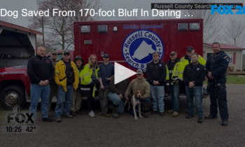Dog Saved From 170-foot Bluff In Daring Rescue