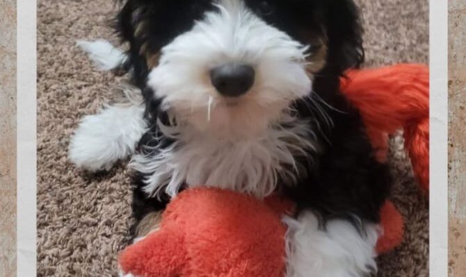 ShellyKeelToy | FOX 28 Spokane