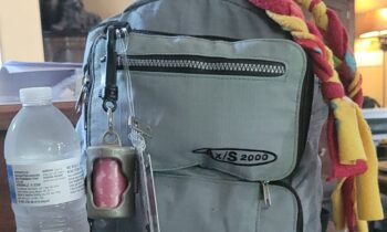 WHAT’S IN YOUR PET’S GO BAG?