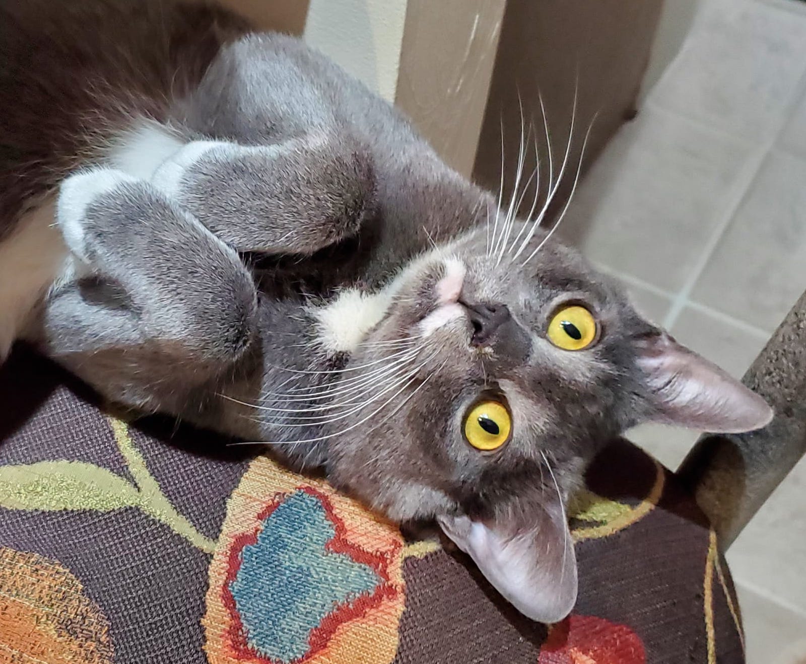 GayWaldman | FOX 28 Spokane