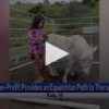 Nonprofit Provides An Equestrian Path To Therapy May 14th 2024