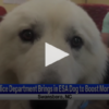 Police Department Brings In Esa Dog To Boost Morale May 31st 2024