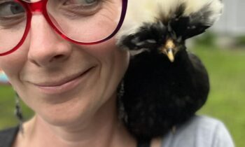 WHAT’S THE MOST UNUSUAL PET YOU’VE EVER HAD?  (PART TWO)