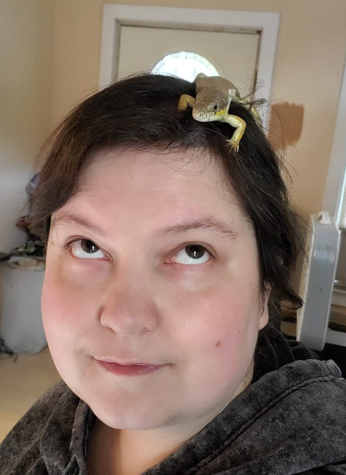 MichelleBrady | FOX 28 Spokane