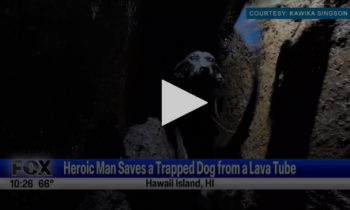 Heroic Man Saves Dog Trapped In A Lava Tube
