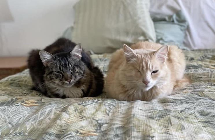 GwenJones | FOX 28 Spokane