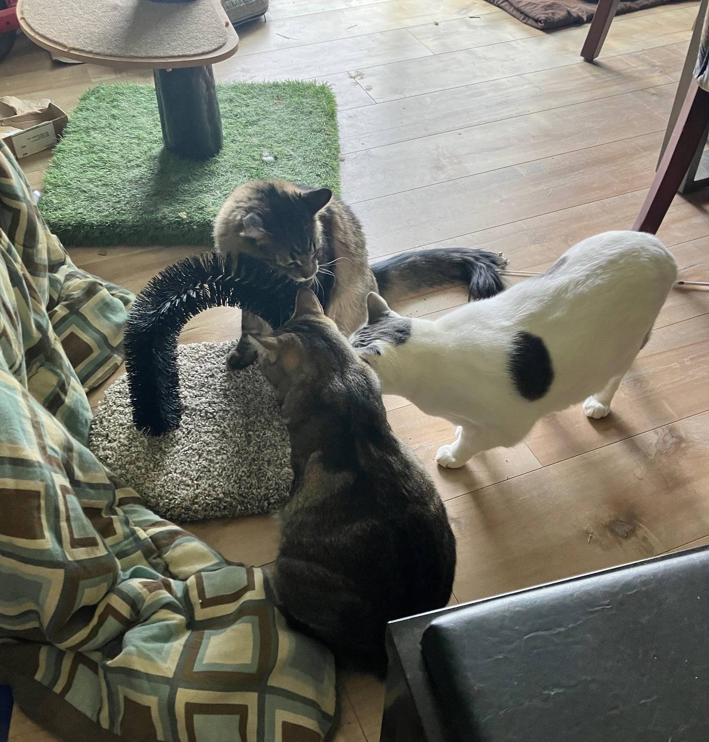 MichaelaKelso | FOX 28 Spokane