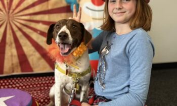 HOW DID YOU DECIDE WHAT TO NAME YOUR PET? (PART TWO)