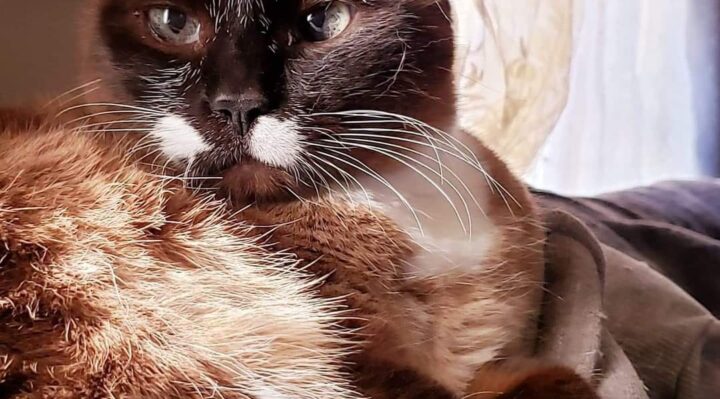 OonaMcGuiness | FOX 28 Spokane