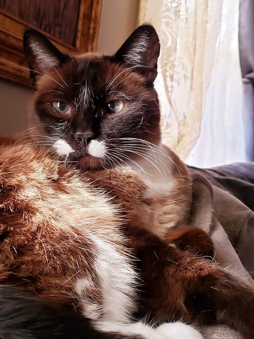 OonaMcGuiness | FOX 28 Spokane