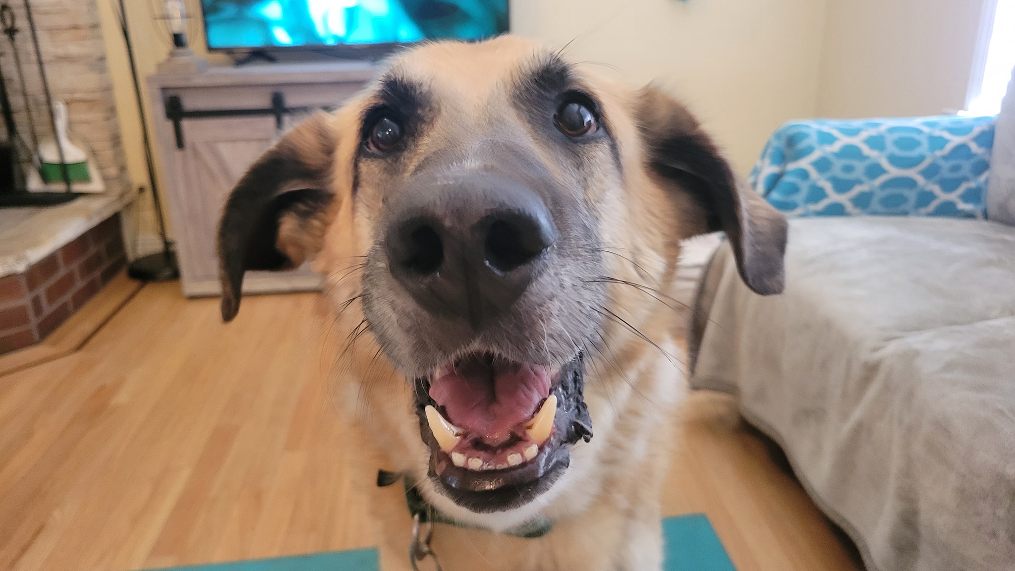 RebekahPiedad | FOX 28 Spokane