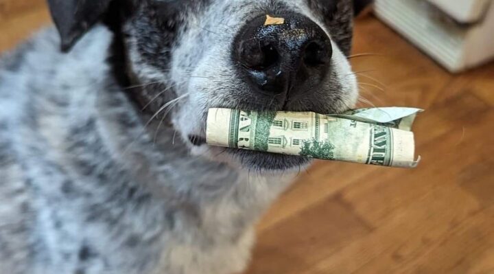 ErinSaywell2 | FOX 28 Spokane