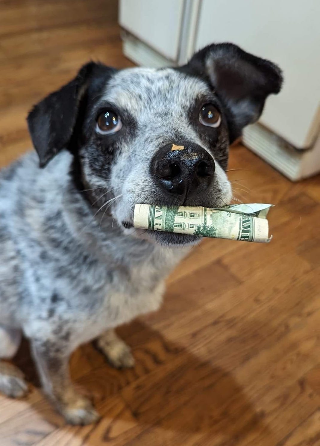 ErinSaywell2 | FOX 28 Spokane