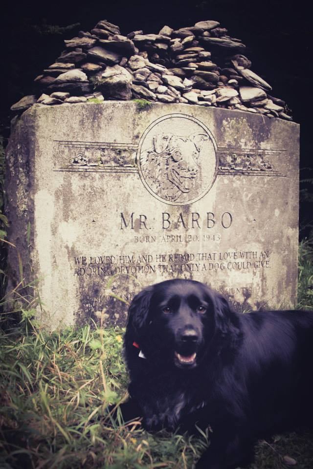 KateLaSalaMrBardo | FOX 28 Spokane