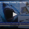 Researchers Uncover Fossils Under High School Campus