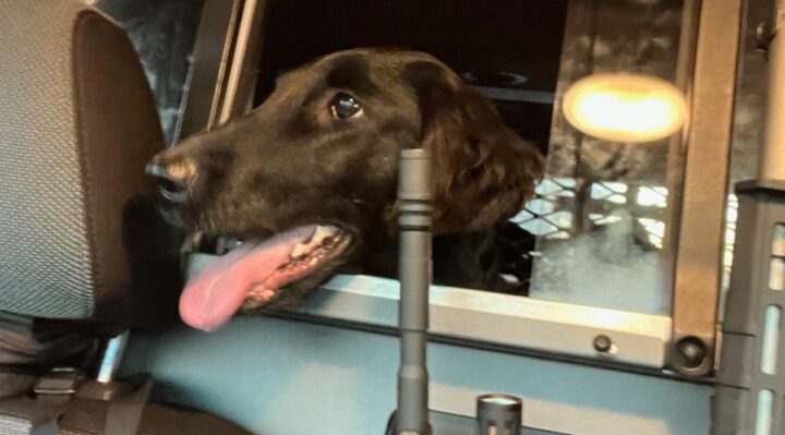 AmySuggars | FOX 28 Spokane