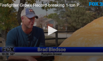 Firefighter Grows Record-breaking 1-ton Pumpkin