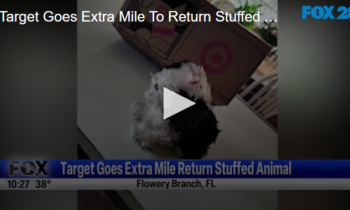 Target Goes Extra Mile To Return Stuffed Animal