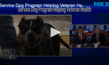 Service Dog Program Helping Veteran Health