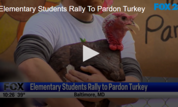 Elementary Students Rally To Pardon Turkey