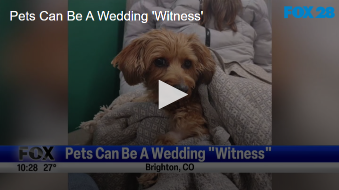 Pets Can Be A Wedding 'Witness' January 24 2025