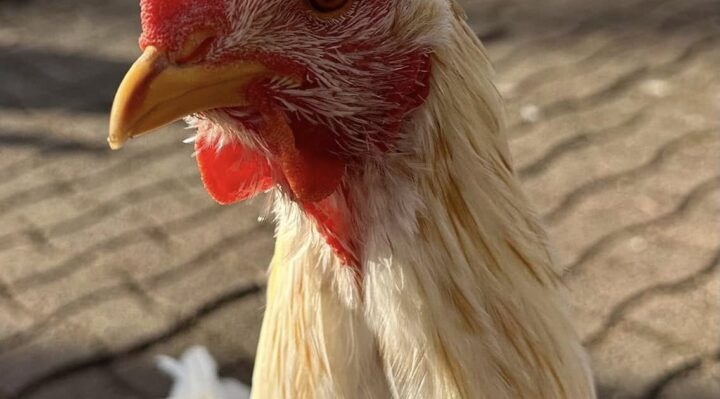 DarceyByrne | FOX 28 Spokane