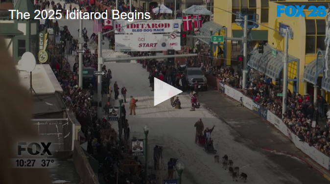 The 2025 Iditarod Begins March 4 2025