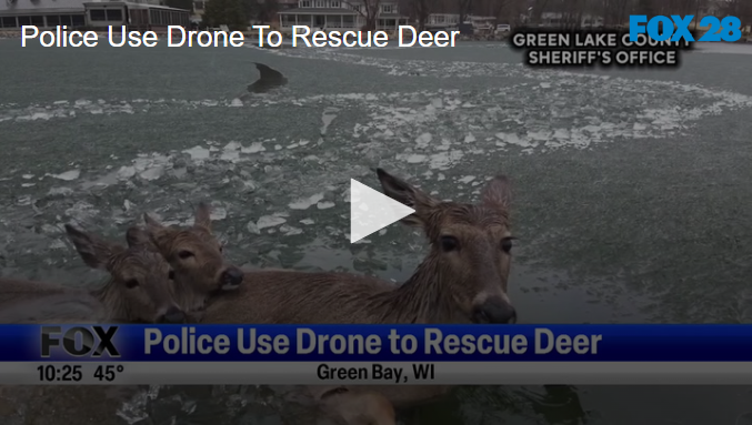 Police Use Drone To Rescue Deer March 20 2025