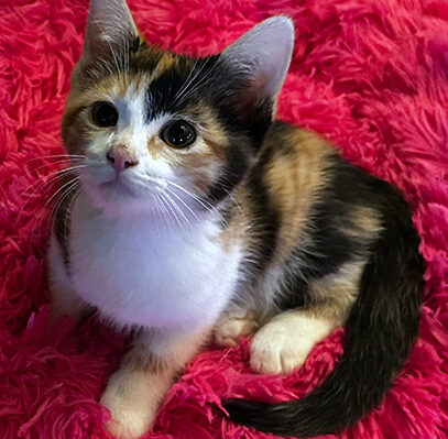 EricCBaldwin | FOX 28 Spokane