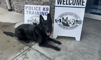 Pasco hosts 2025 PNW K9 Conference with top dog trainers