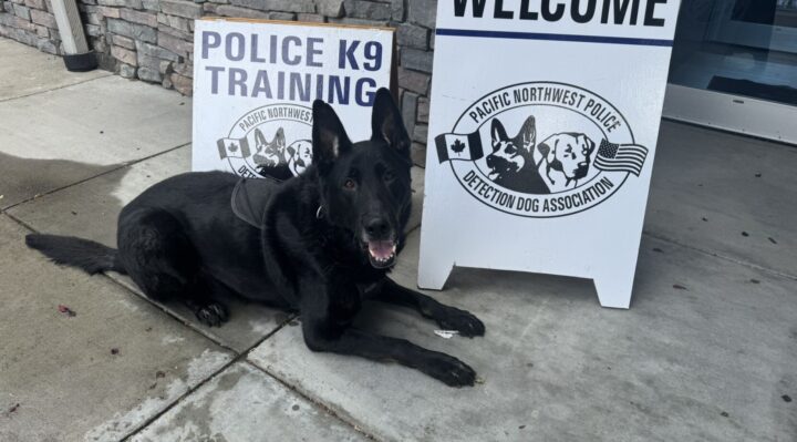 682eb9d7420e8imagejpg | FOX 28 Spokane