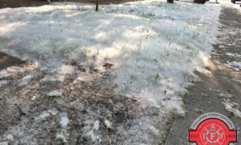 Pullman firefighters warn of cottonwood fluff fire risk