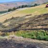 Homes endangered in Clarkston Heights wildland fire
