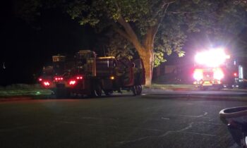 Fire crews extinguish brush fire in Browne’s Addition