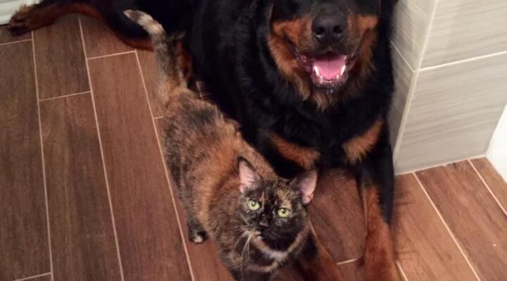 ChristineHaleVertucci | FOX 28 Spokane