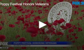 Poppy Festival Honors Veterans