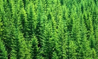 5bfdcbbf7a332imagejpg | FOX 28 Spokane